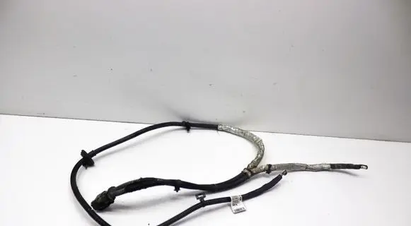 Other wiring loom