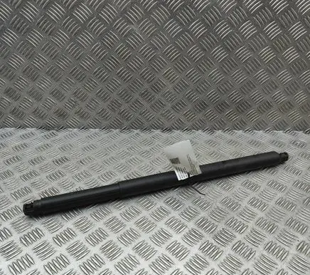 KIA Sorento IV Tailgate/trunk strut/damper 81841P2100