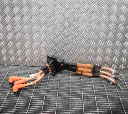 Audi Q5 SQ5 Other wiring loom 8R0971013C