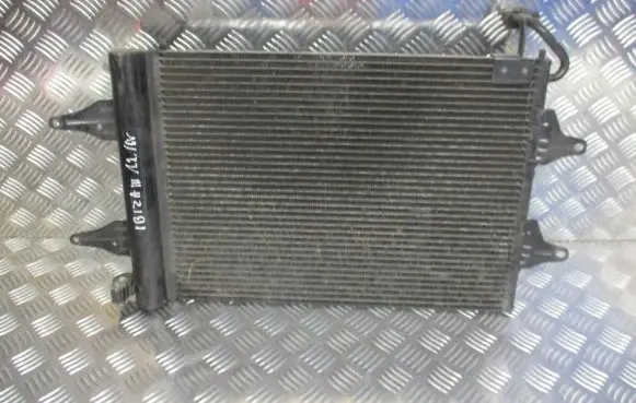 Seat Ibiza III (6L) Air conditioning (A/C) radiator (interior) 