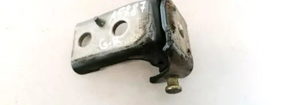 Rear door lower hinge