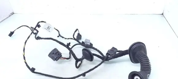 Front door wiring loom