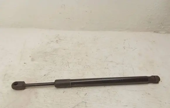 Tailgate/trunk strut/damper