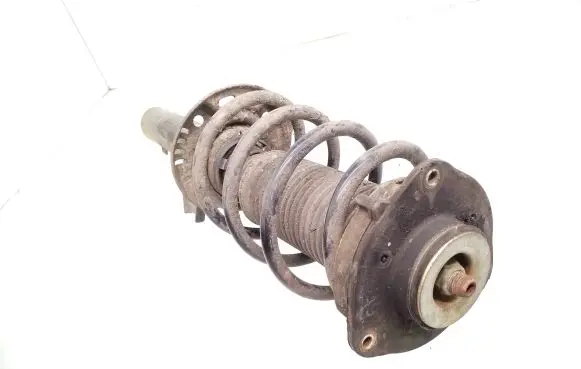 Front shock absorber with coil spring