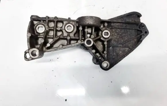 Nissan Qashqai Engine mounting bracket 8200669494