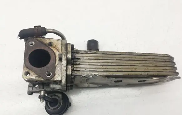Skoda Octavia Mk2 (1Z) EGR valve cooler 03g131063e 038131513ad