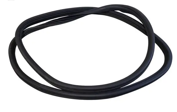 Cadillac CTS Front door rubber seal 25680753