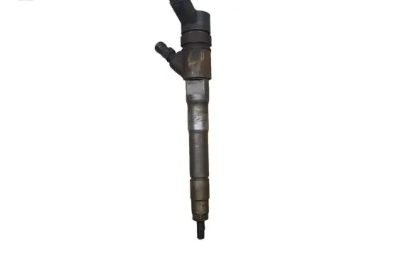 Fiat Ducato Fuel injector 0445110520 5801594342