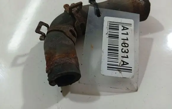 Renault Clio III Engine coolant pipe/hose 