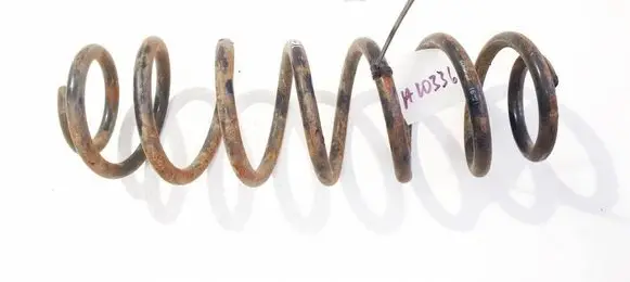 Rear coil spring
