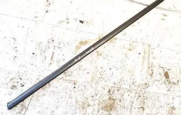 Nissan Leaf I (ZE0) Front door glass trim molding 