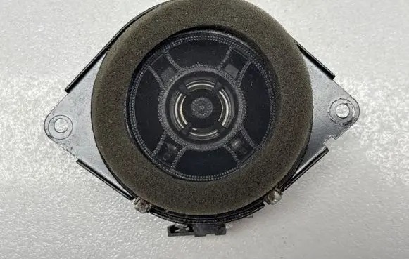 Chrysler Pacifica Panel speaker 68093123AD 8923021702A 36316J0851