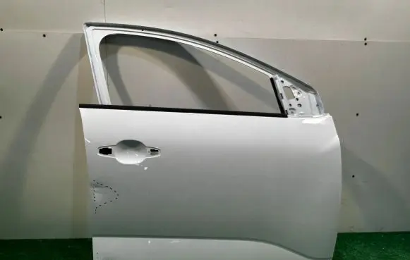 Dacia Sandero Front door