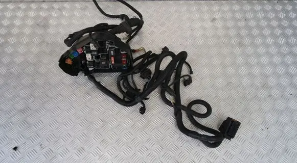 Porsche Cayenne (92A) Positive wiring loom