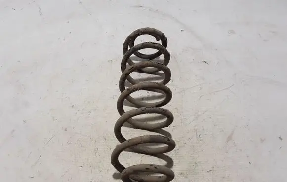 Volkswagen Golf IV Rear coil spring 1J0511115AE