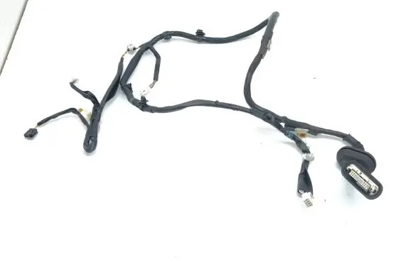 Lexus IS III XE30 Rear door wiring loom 8215453151B
