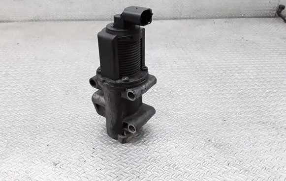 Opel Zafira B EGR valve 50024005