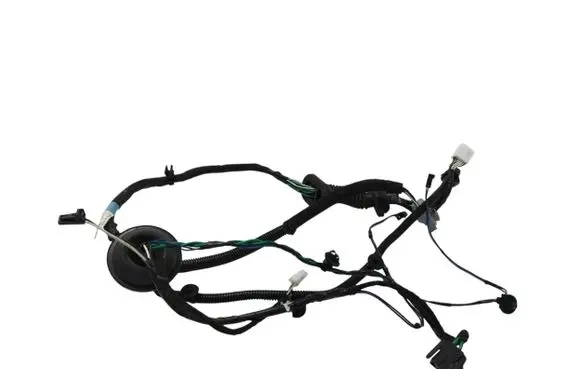 Rear door wiring loom