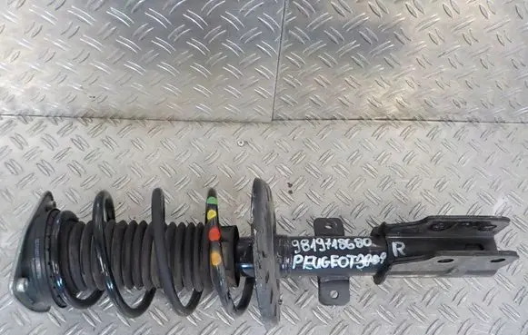 Front shock absorber with coil spring