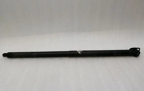 Tesla Model S Tailgate/trunk/boot lift motor 106566900A