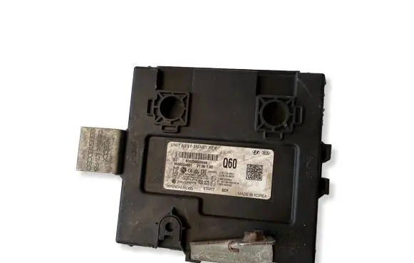 KIA Niro Keyless (KESSY) go control unit/module 95480Q4601 B00259005949 2197154902