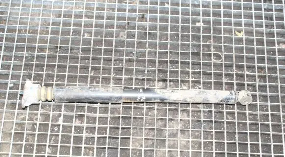 Ford Ecosport Rear shock absorber/damper