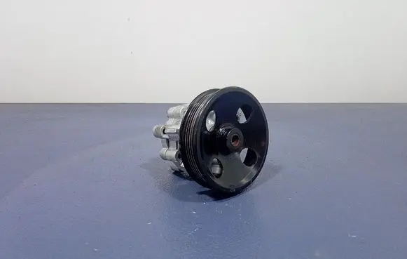 Chevrolet Aveo Power steering pump 55566745