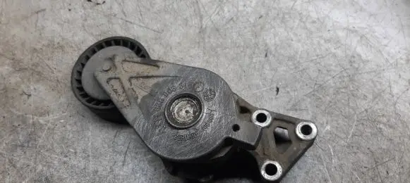 Seat Altea XL Timing belt tensioner 038903315