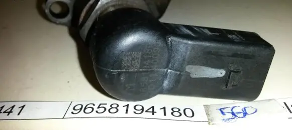 Citroen C4 I Picasso Fuel injector 9658194180 40090 5WS40441