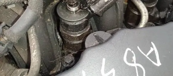 Peugeot Partner Fuel injector 0445110297