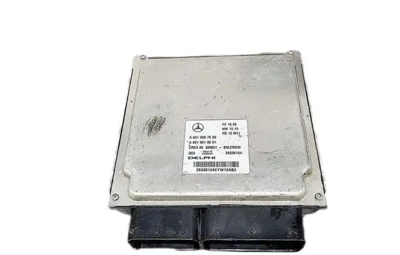 Mercedes-Benz B W246 W242 Engine control unit/module A6519007600