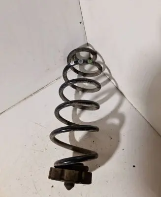 Rear coil spring