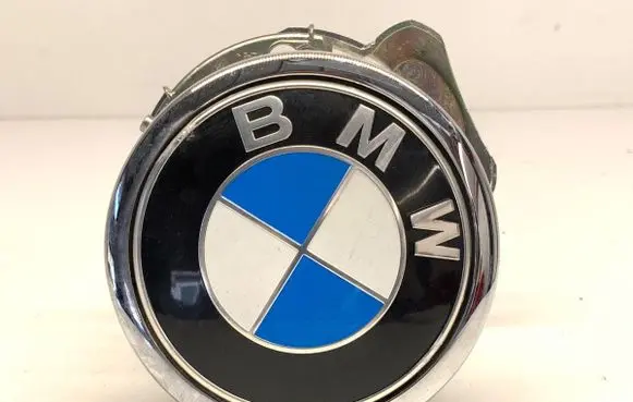 BMW 6 F06 Gran coupe Tailgate/trunk/boot exterior handle 7273659