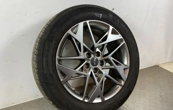 R19 alloy rim