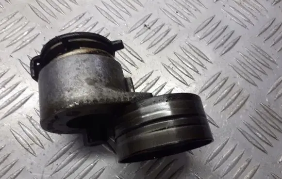 Renault Scenic II - Grand scenic II Alternator belt tensioner pulley 072120628