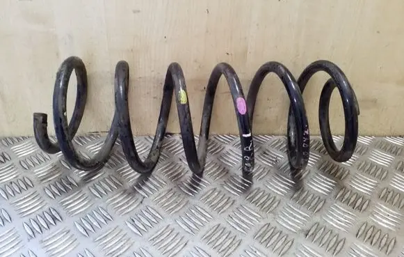 Opel Antara Front coil spring