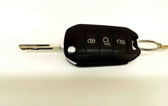 Peugeot 308 Ignition key/card 9674001080