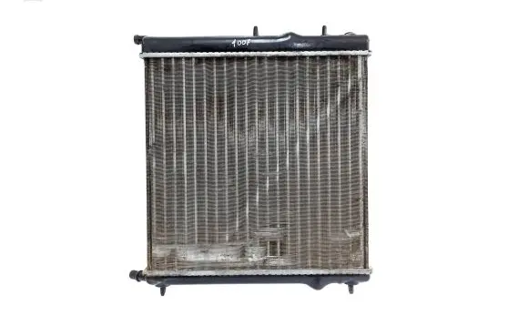 Peugeot 1007 Coolant radiator D7P020TT TH042M10