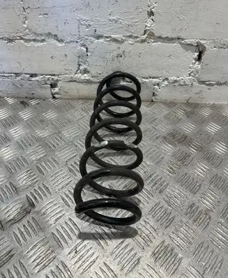 Renault Megane III Rear coil spring