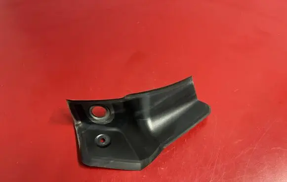 Rear/tail light trim molding