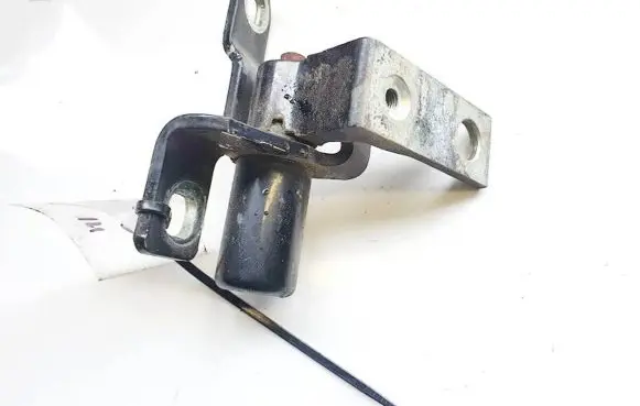 Ford S-MAX Rear door lower hinge