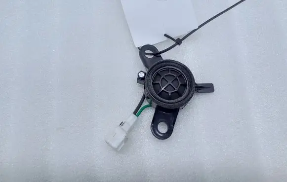 Front door high frequency speaker