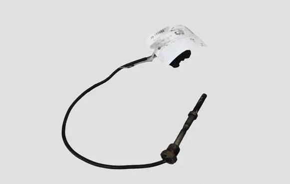 Volvo XC60 Exhaust gas temperature sensor 31293881AC