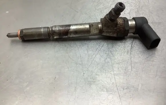 Renault Laguna III Fuel injector H8200294788