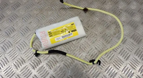 Lexus RX III Seat airbag 7393048020