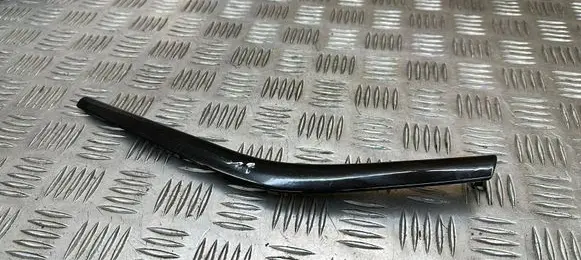 Ford Focus Center console decorative trim 