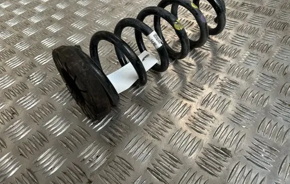 KIA Sportage Rear coil spring
