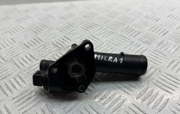 Thermostat/thermostat housing