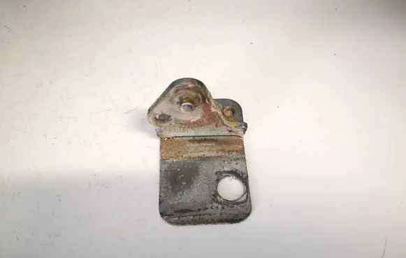 Rear door lower hinge