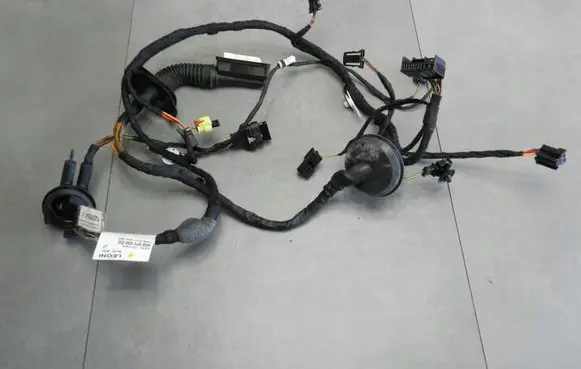 Front door wiring loom